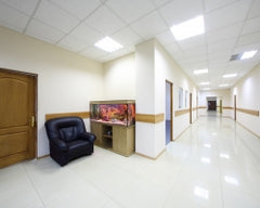 Hybrid LED T8 Lamps