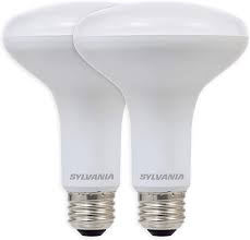 73956, BR30 LED Bulb, 650 Lumens, 5000K, 65W Equivalent, 2 Pack.